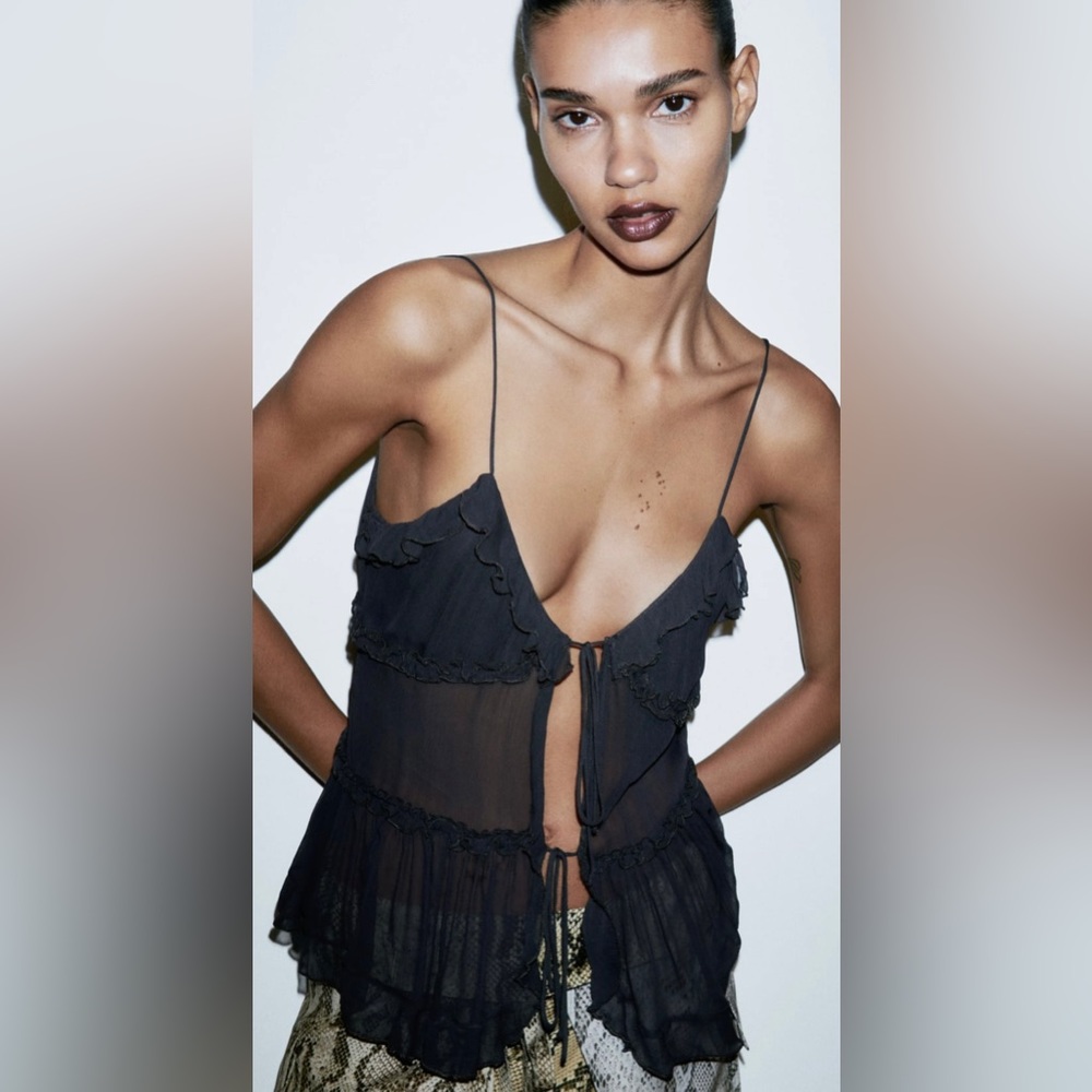 Zara Sheer Black Ruffle Blouse